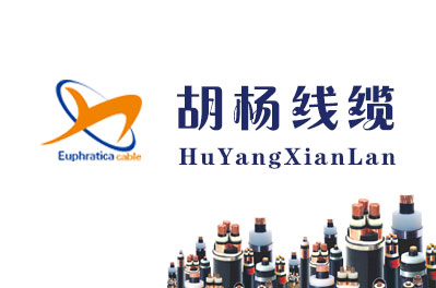 新疆網(wǎng)站建設案例-新疆胡楊線(xiàn)纜制造有限公司